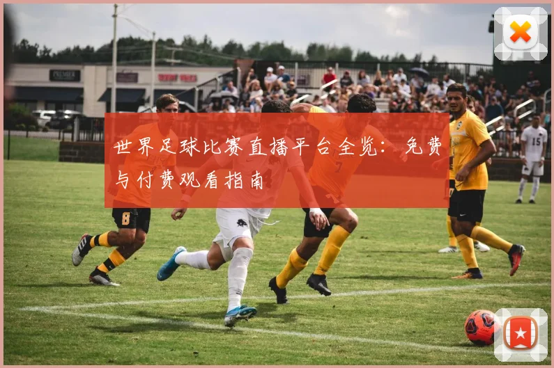 世界足球比赛直播平台全览：免费与付费观看指南